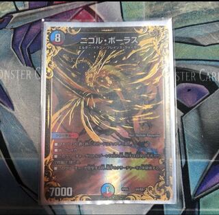 ニコルボーラス