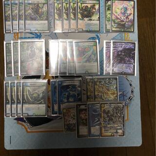 アナカラーシャコガイル