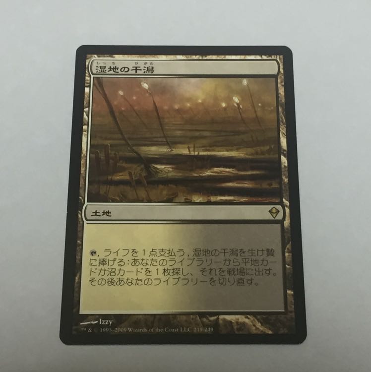 湿地の干潟   Marsh Flats