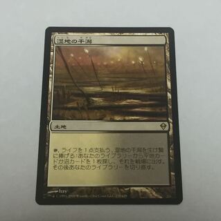 湿地の干潟   Marsh Flats