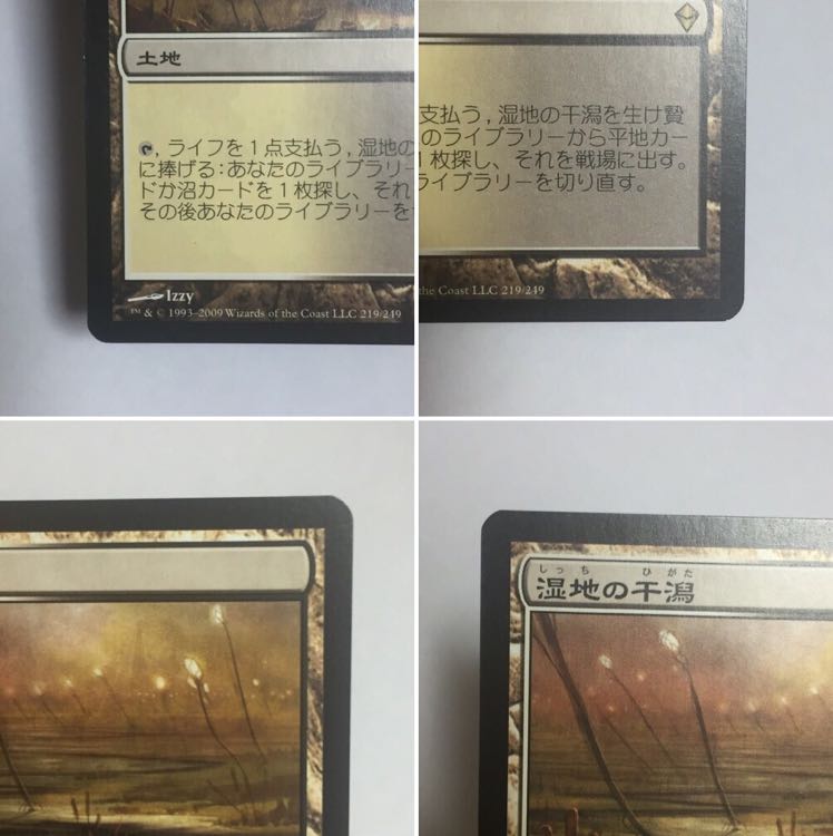 湿地の干潟   Marsh Flats