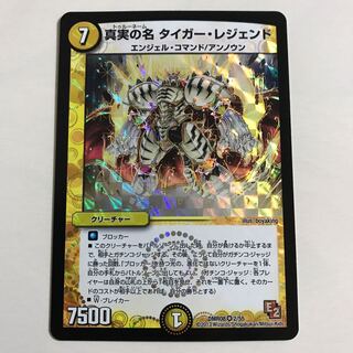 真実の名 タイガー･レジェンド