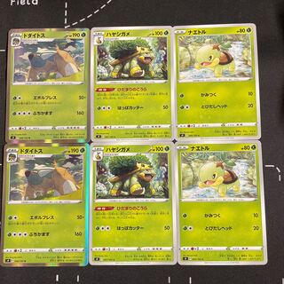 Two Torterra evolution lines, two sets in stock.