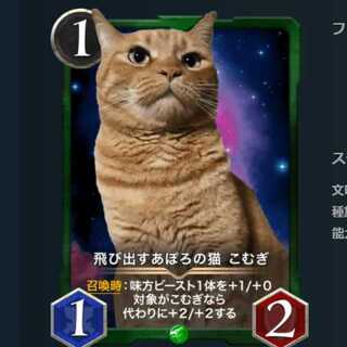 2枚セット 飛び出すあぽろの猫 こむぎ