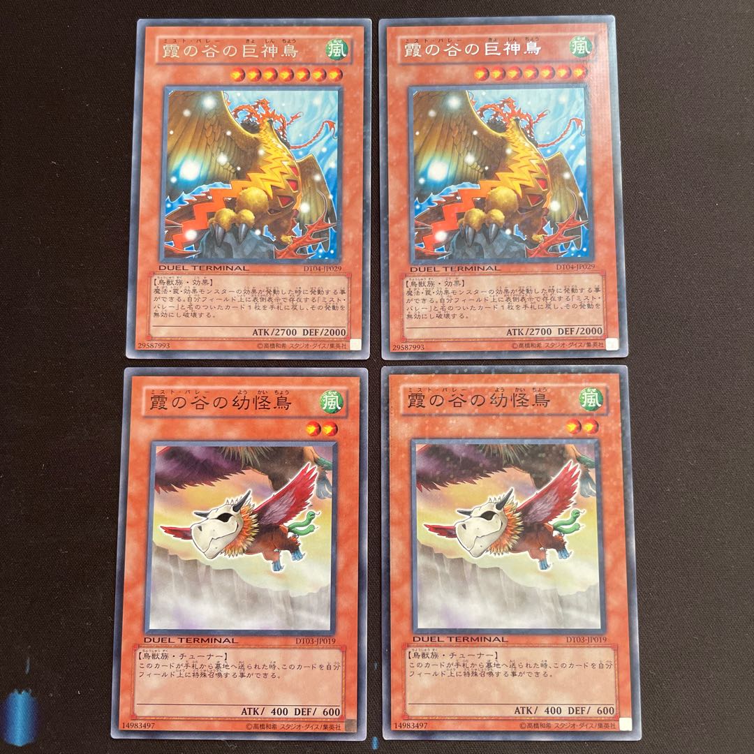 Mist Valley Apex Avian Rare Mist Valley Baby Roc Normal