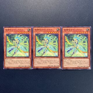 Fairy Archer Ingunar