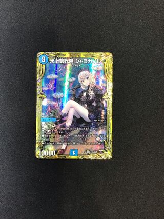 The Ninth House on Water Shako Gile