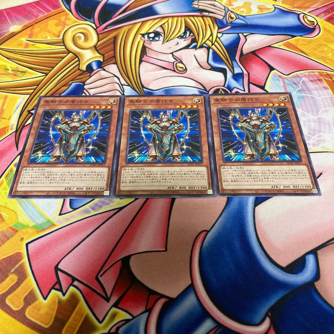 Noble Knight's Shield-Bearer