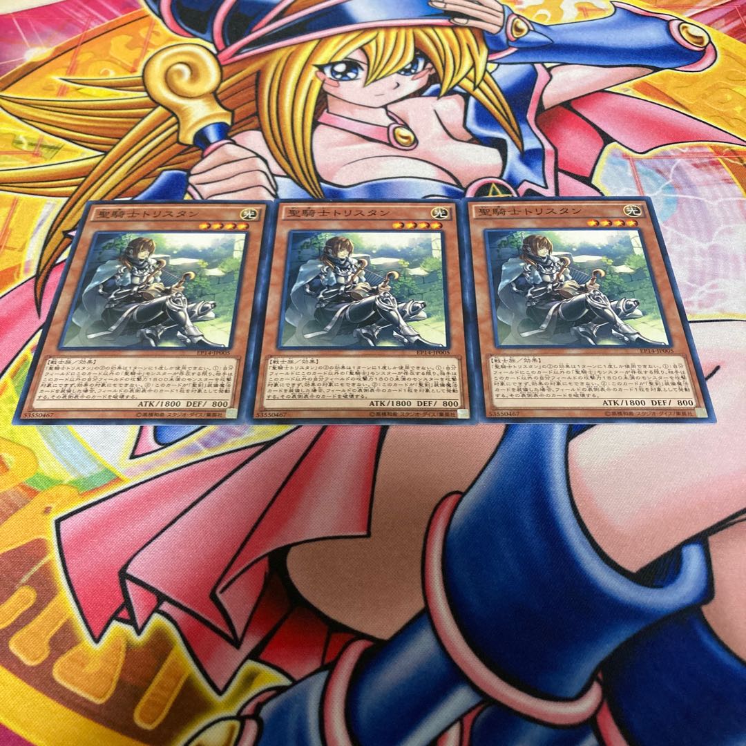 Noble Knight Drystan