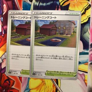 Training Court 2 sheets