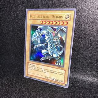 No.301 Blue-Eyes White Dragon JMP-001 Snubbull Eyes HoWight Dragon