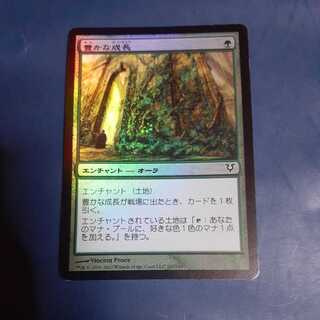 foil Abundant Growth