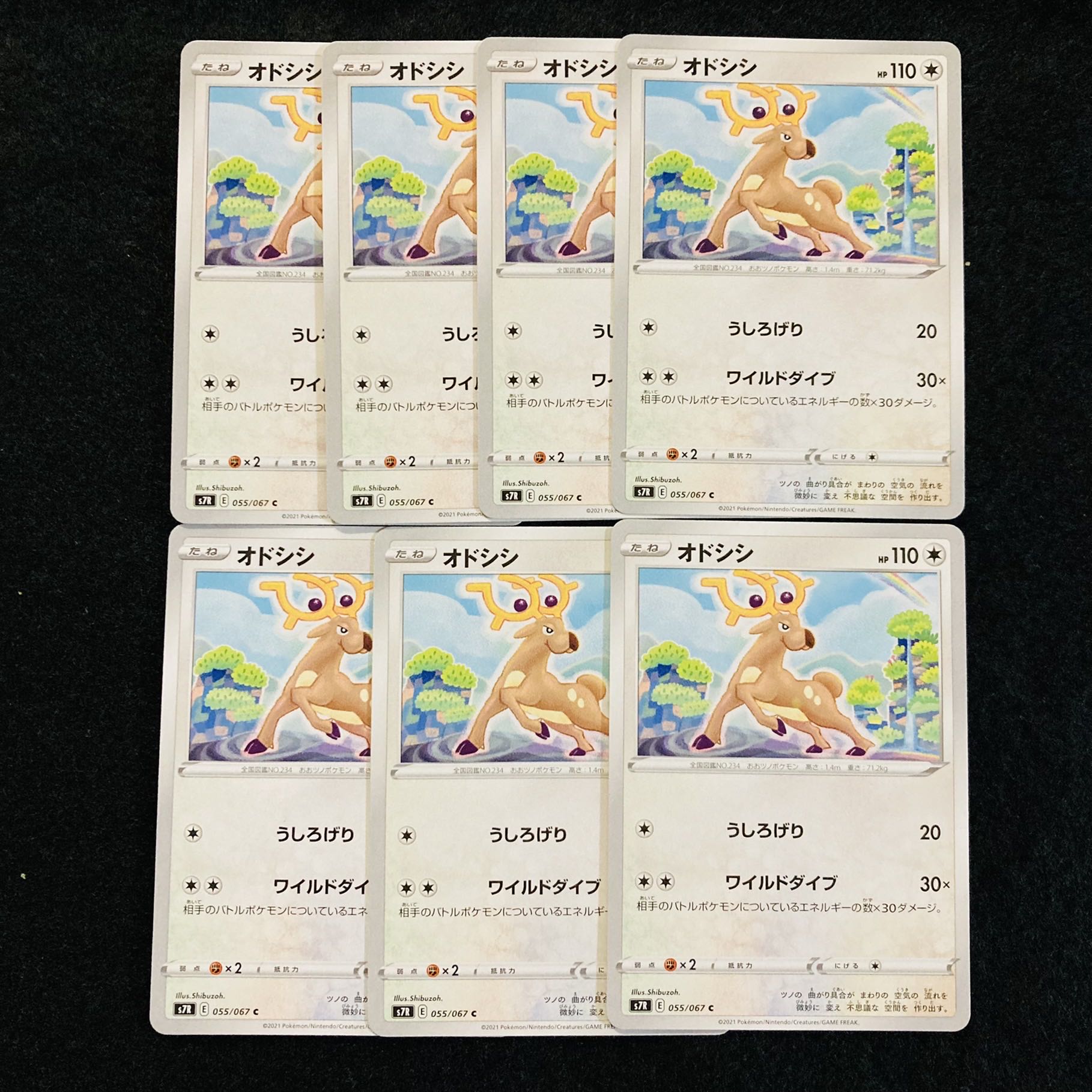 Stantler C 7 sheets