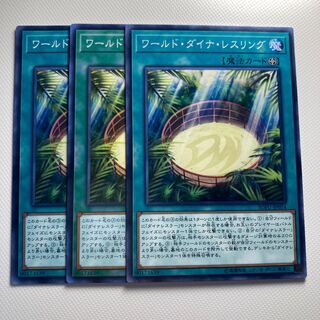 ワールド・ダイナ・レスリング☆5740