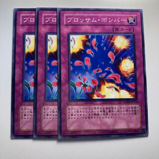 4699 ブロッサム・ボンバー ノーマル JP074