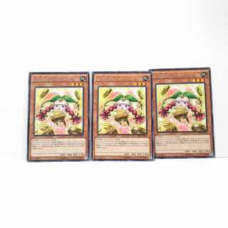 Prediction Princess Coinorma Set of 3 Yu-Gi-Oh Mute Rare Normal(1)