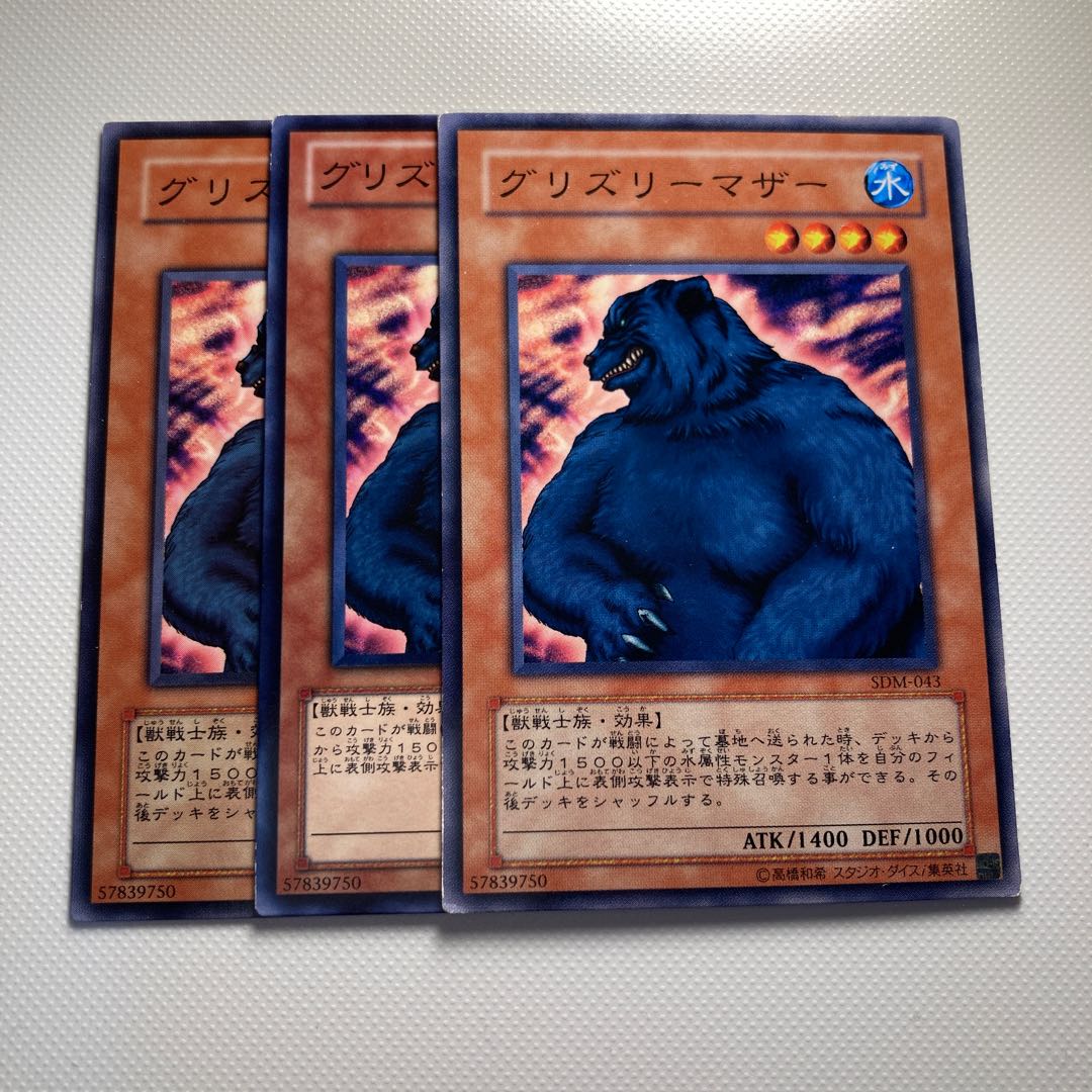 4707 Mother Grizzly☆5768