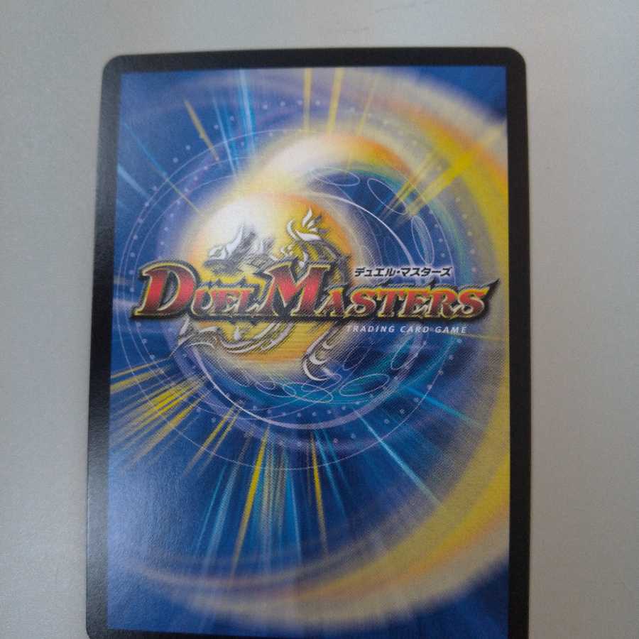 天命龍装 ホーリーエンド/ナウ・オア・ネバー