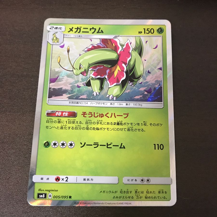 メガニウム 1枚