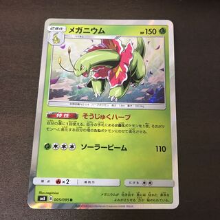 メガニウム 1枚