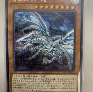 遊戯王　青眼の亜白龍　シク