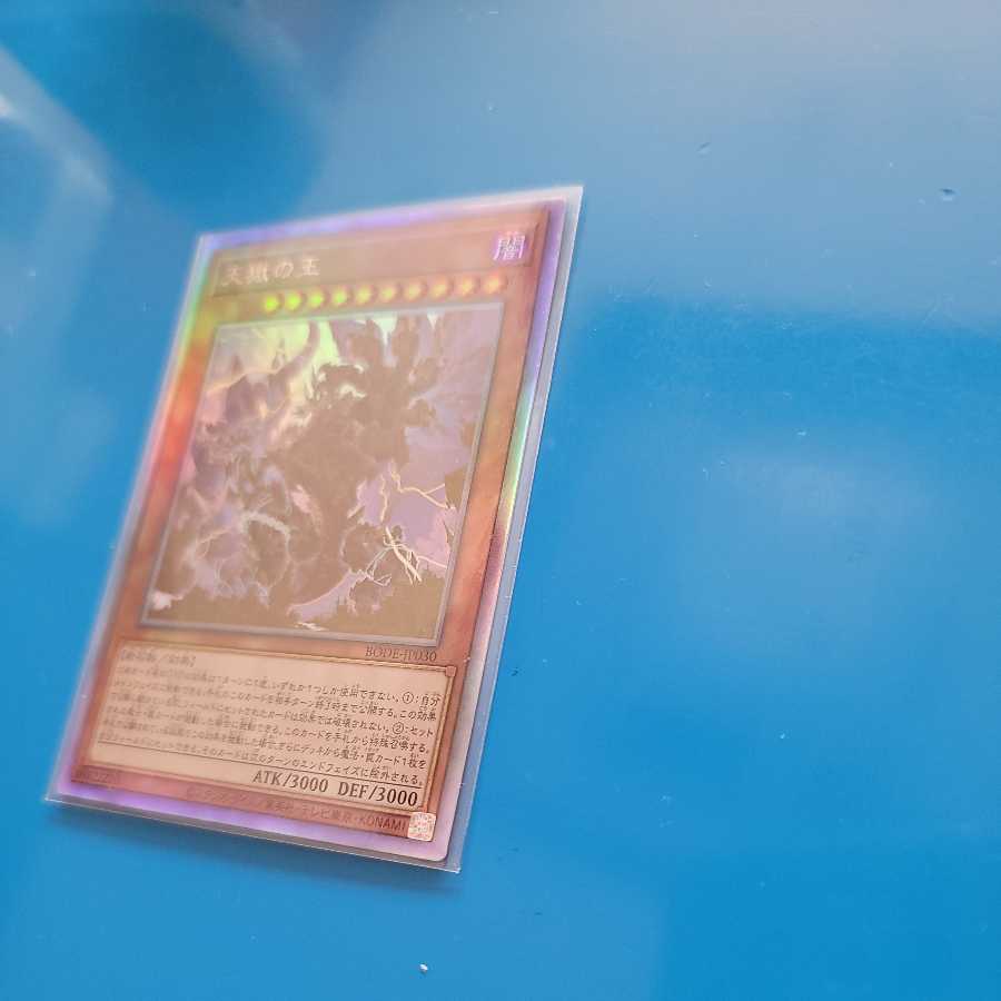 Lord of the Heavenly Prison Holographic Rare