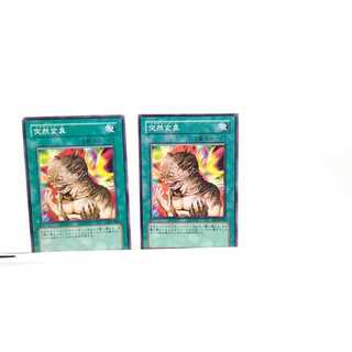 Metamorphosis 2 piece set, Yu-Gi-Oh, Mute, Rare, Normal