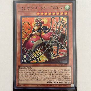 Cellions "Lily" Bollea