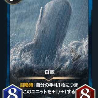 発行数62枚 白鯨
