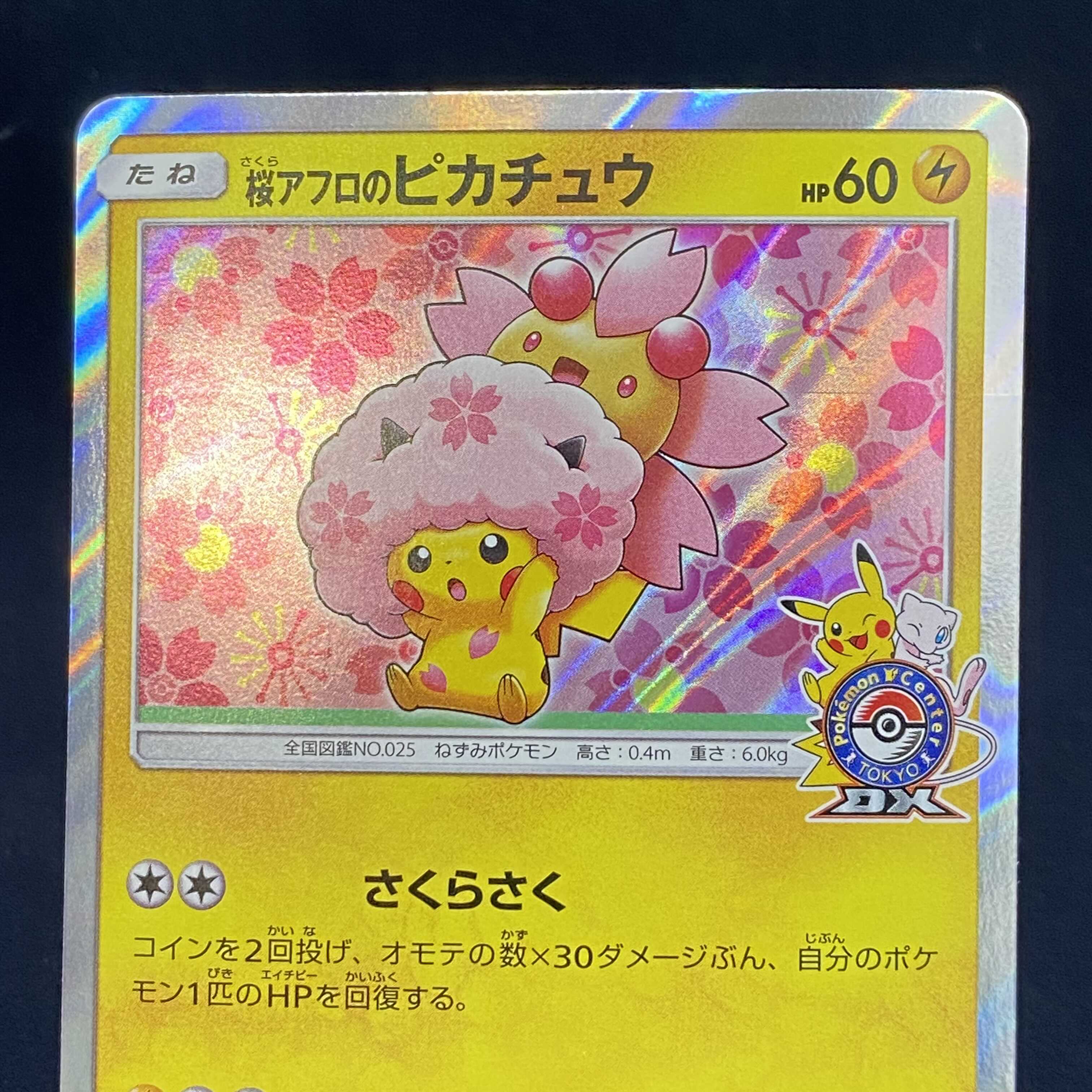 Pikachu PROMO with Sakura Afro
