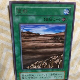 遊戯王 荒野 デュエルモンスターズ 1枚