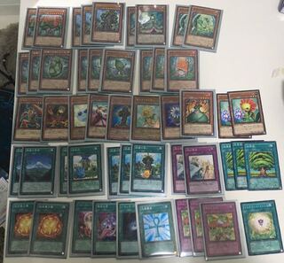 遊戯王 デッキパーツ 森羅