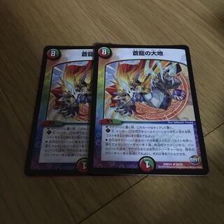 蒼龍の大地 2枚