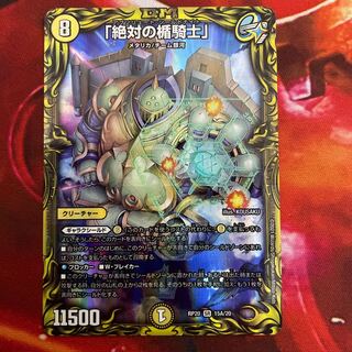 「絶対の楯騎士」