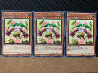 【ぽぽたん】遊戯王 8302 占術姫コインノーマ 3枚 レア