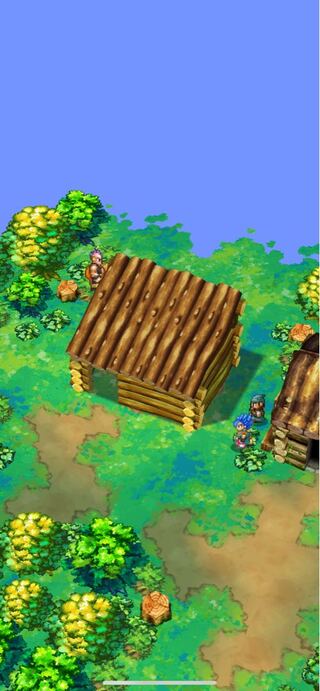 CramorantV max seeking