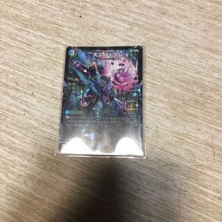 Natural disaster Dedham