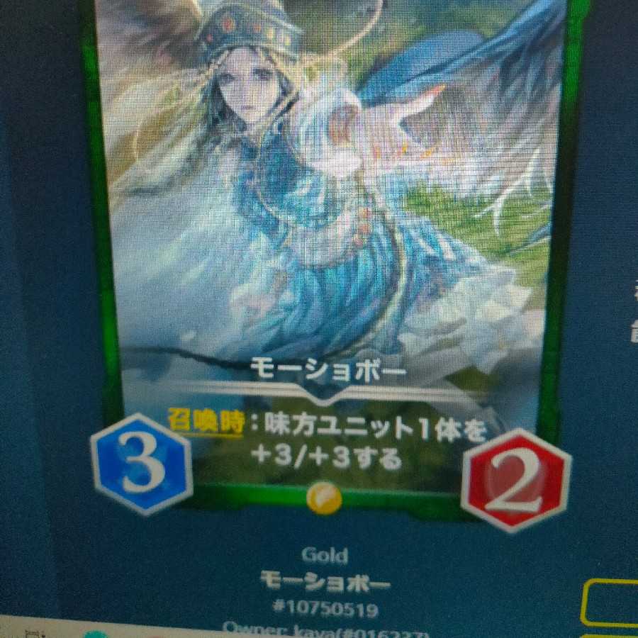 2枚組モーショボー