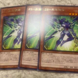 2 zs Consecrate Sages