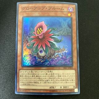 Glow-Up Bloom Super Rare