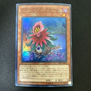 Glow-Up Bloom Super Rare