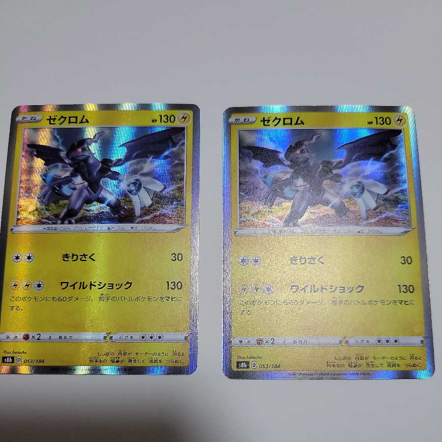 Zekrom(R specification) 2 pieces