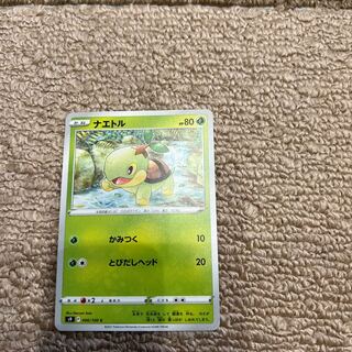 Torterra for Fugetsu