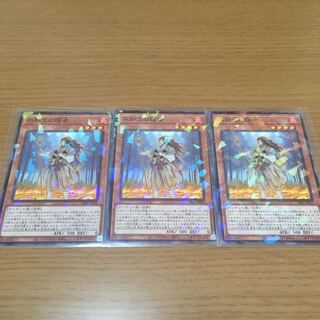 Shiranui Solitaire Parallel 3-Piece Set