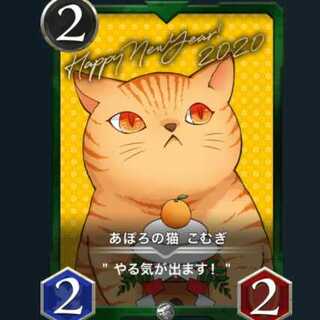 あぽろの猫 こむぎ