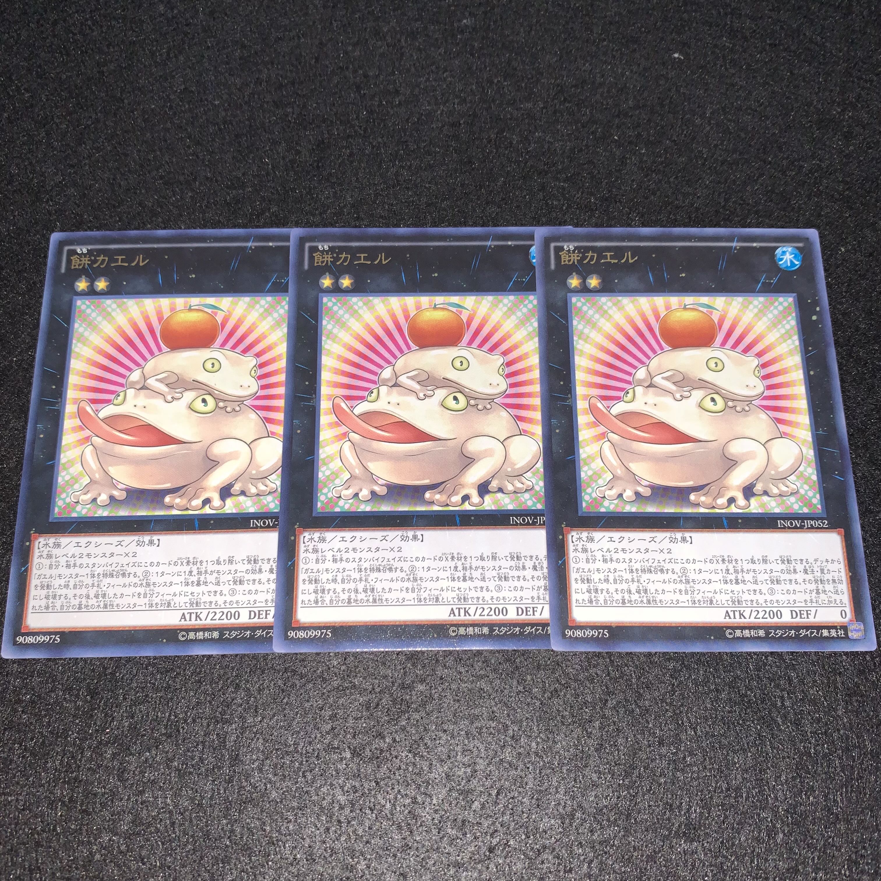 No.384 Toadally Awesome 3-Piece Set