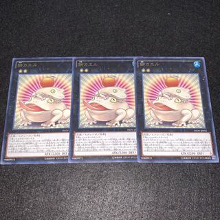 No.384 Toadally Awesome 3-Piece Set