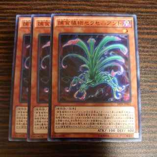 Predaplant Sarraceniant Normal Set of 3