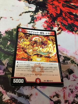 Shinkage Ryu, Yanagi Life, Dragon