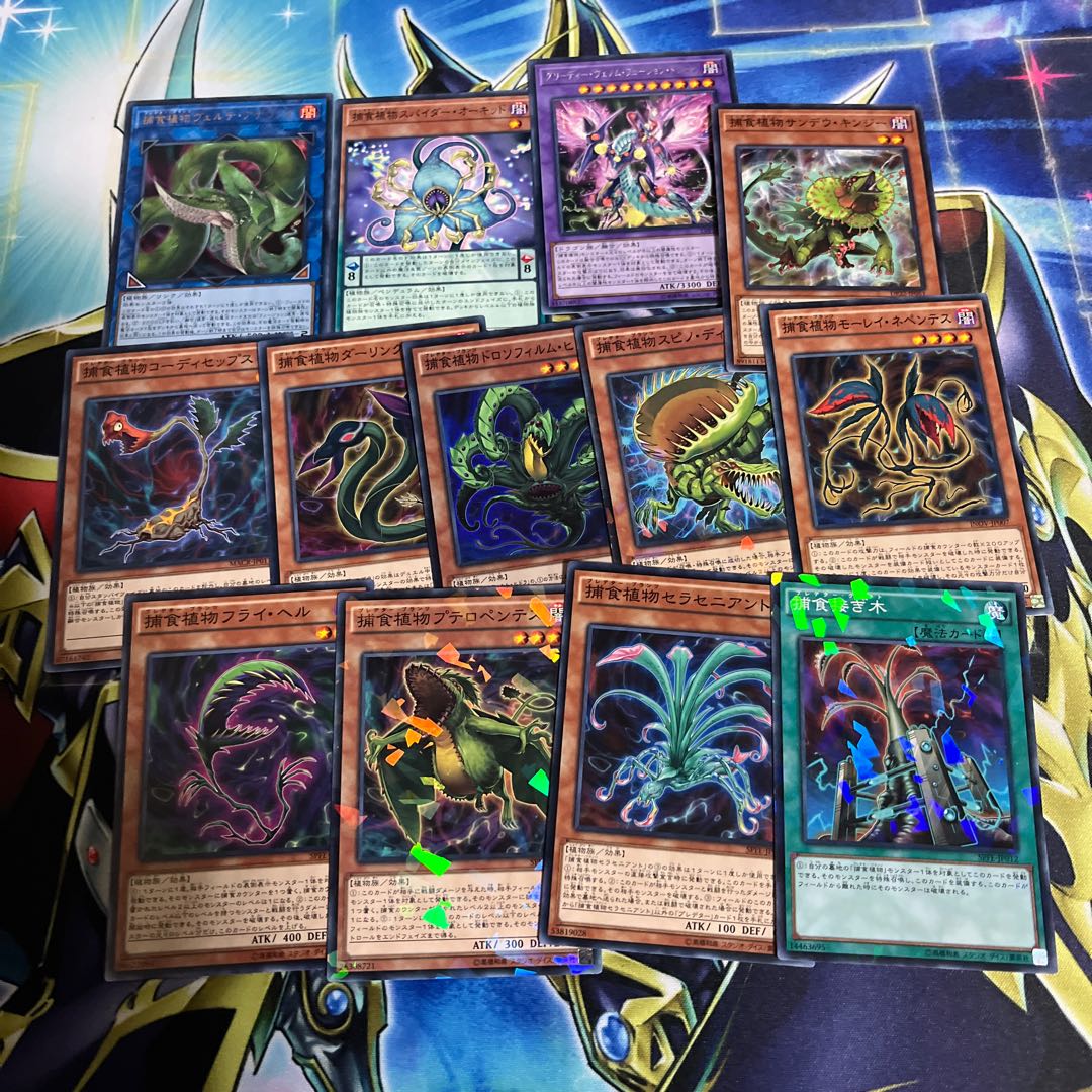 Predaplant Verte Anaconda Set